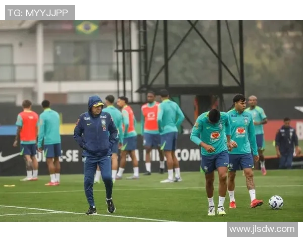 2002年世界杯巴西与中国足球队精彩对决比分回顾与分析