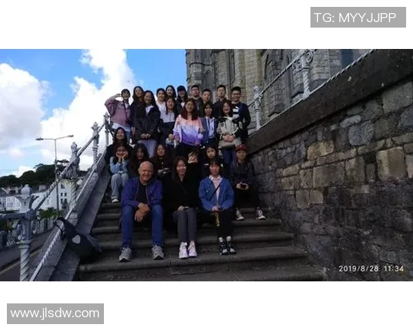 法国与爱尔兰比赛技术统计分析与数据对比详解 法国与爱尔兰比赛技术统计分析与数据对比详解