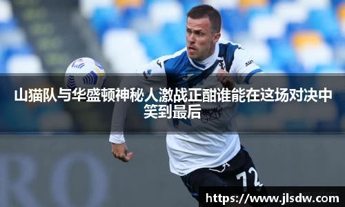 山猫队与华盛顿神秘人激战正酣谁能在这场对决中笑到最后